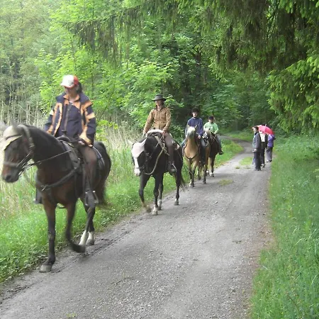 Sonnige Suedwohnung Mit Terrasse, Badesee Forchtenberg