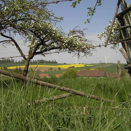 Sonnige Suedwohnung Mit Terrasse, Badesee
