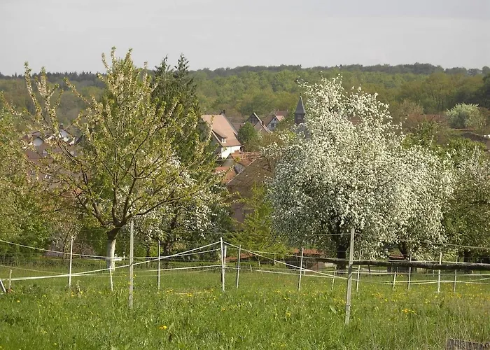 Sonnige Suedwohnung Mit Terrasse, Badesee *