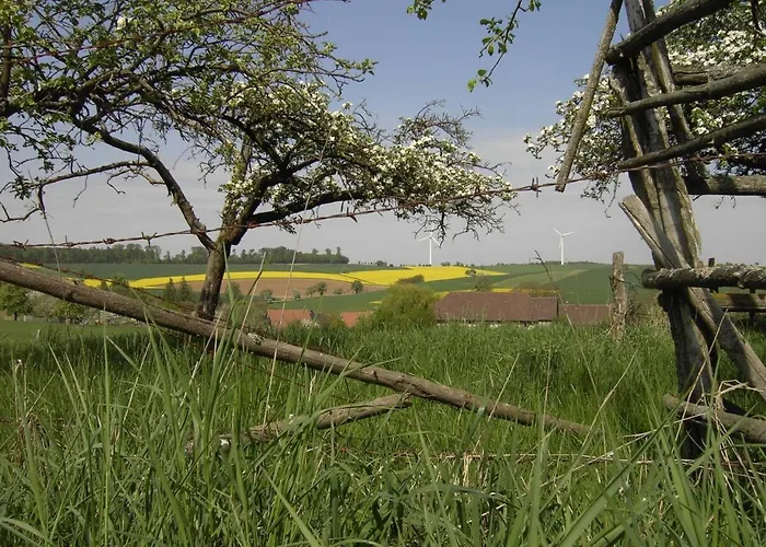 Sonnige Suedwohnung Mit Terrasse, Badesee